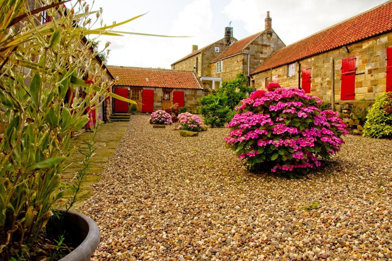 Rosecombe, Borrowby Farm Cottages Staithes Buitenkant foto