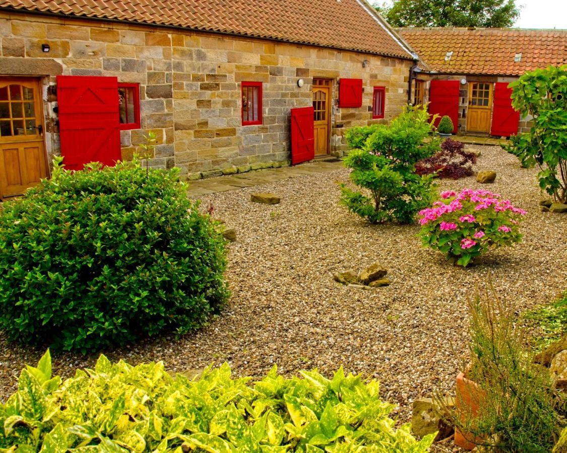 Rosecombe, Borrowby Farm Cottages Staithes Buitenkant foto